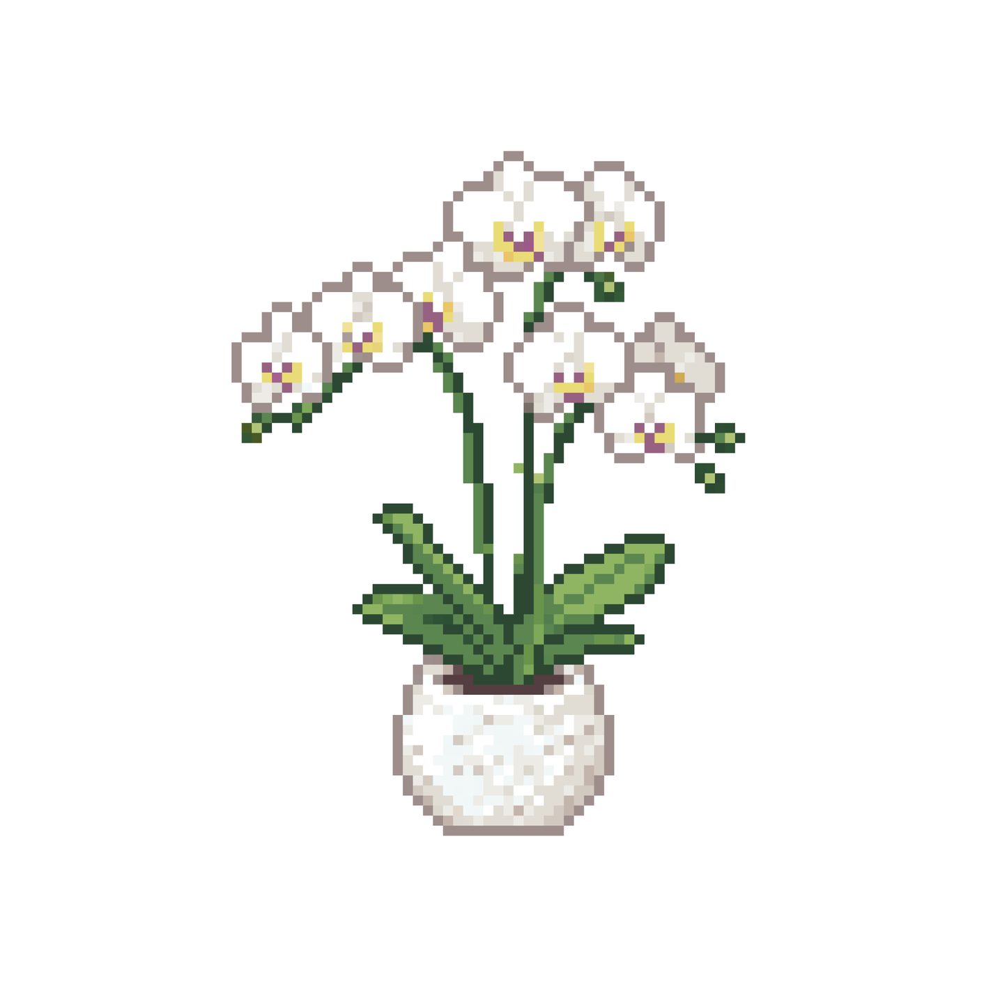 Pixel chậu hoa lan